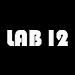 LAB 12