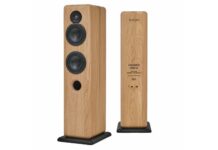 Xavian Grande Unica : des enceintes colonnes artisanales en chêne massif